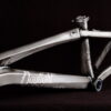 Daylight ARC c3 20" Frame