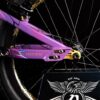 BIKE 606 - Arc c2 - ArcDragon - Image 3