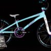 BIKE 603 - Arc c2 Robin's Egg / Bright Purple