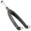 Avian Versus Tapered Carbon Fork
