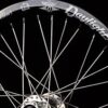 Carbon Pro 24" Wheelset w/ Onyx Hubs